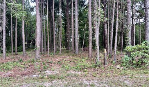 Photo #9 of 36 Waterway, Belhaven, NC 5.6 acres