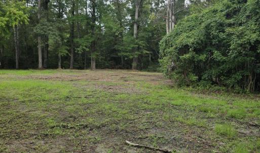 Photo #2 of 150 Castle, New Bern, NC 3.9 acres