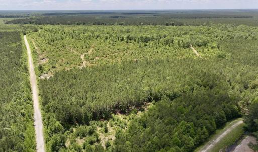 Photo #38 of Guinea Mill, Ernul, NC 461.4 acres