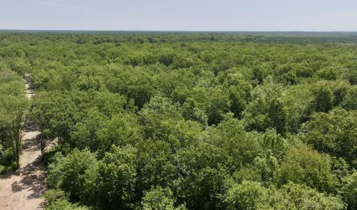 Photo #41 of Guinea Mill, Ernul, NC 461.4 acres