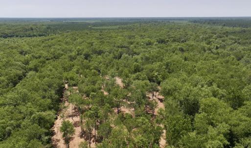 Photo #22 of Guinea Mill, Ernul, NC 461.4 acres
