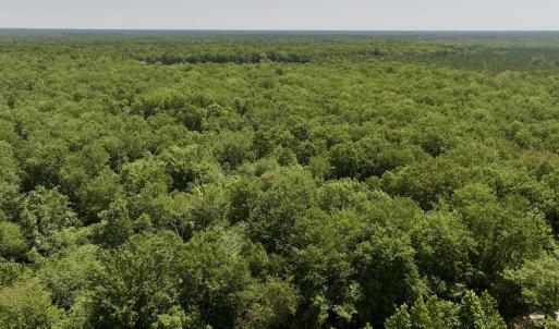 Photo #8 of Guinea Mill, Ernul, NC 461.4 acres