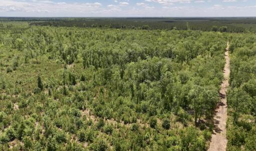Photo #2 of Guinea Mill, Ernul, NC 461.4 acres