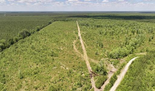 Photo #35 of Guinea Mill, Ernul, NC 461.4 acres