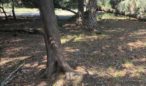 Photo #10 of 222 Bald Head, Bald Head Island, NC 0.2 acres