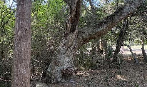 Photo #7 of 222 Bald Head, Bald Head Island, NC 0.2 acres