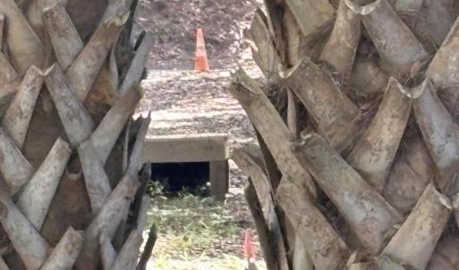Photo #6 of 222 Bald Head, Bald Head Island, NC 0.2 acres