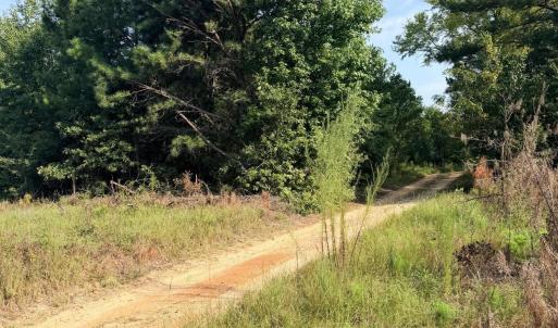 Photo #2 of 141 Autumn Chase, Beech Island, SC 23.0 acres