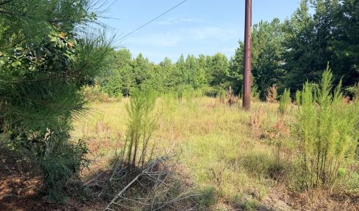 Photo #1 of 141 Autumn Chase, Beech Island, SC 23.0 acres