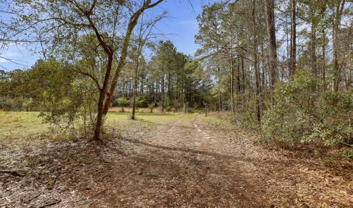 Photo #5 of 5535 Fulton, Castle Hayne, NC 21.1 acres