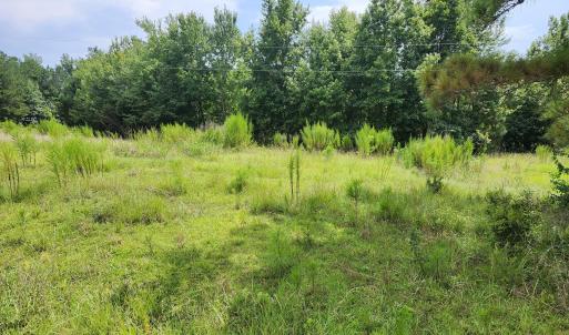 Photo #2 of 306 Howards Landing, Hampstead, NC 4.6 acres
