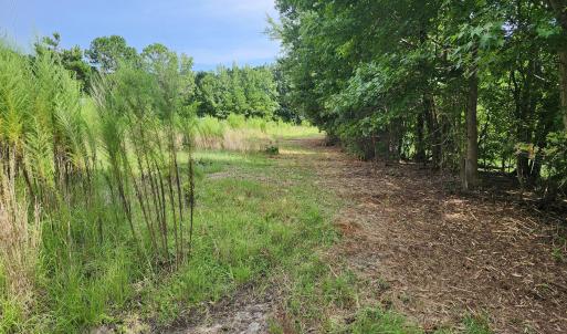 Photo #4 of 306 Howards Landing, Hampstead, NC 4.6 acres