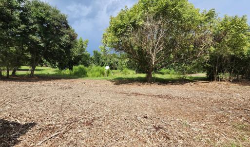 Photo #8 of 306 Howards Landing, Hampstead, NC 4.6 acres