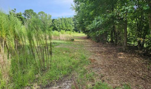 Photo #4 of 306 Howards Landing, Hampstead, NC 4.6 acres