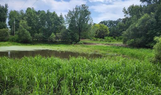 Photo #6 of 306 Howards Landing, Hampstead, NC 4.6 acres
