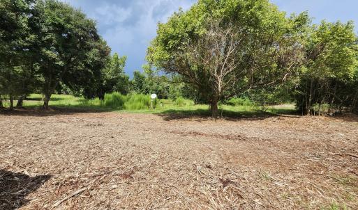 Photo #8 of 306 Howards Landing, Hampstead, NC 4.6 acres