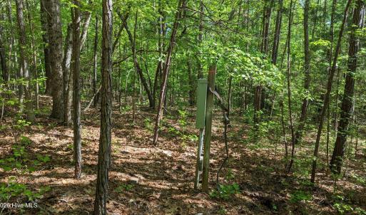Photo #9 of 889 Old Stonehouse, Chapel Hill, NC 6.5 acres