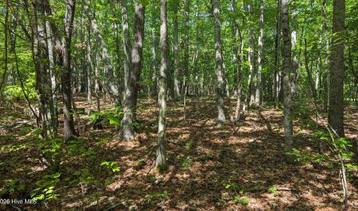 Photo #8 of 889 Old Stonehouse, Chapel Hill, NC 6.5 acres