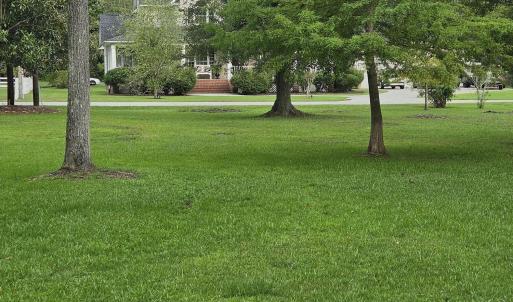 Photo #5 of Tbd Pine, Lake Waccamaw, NC 0.5 acres