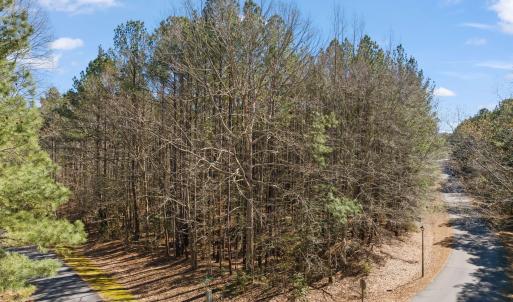 Photo #4 of Windward Shores, Henrico, NC 0.8 acres