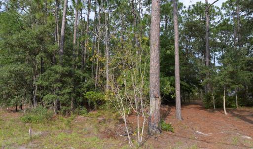 Photo #3 of 881 Eden, Southport, NC 0.7 acres