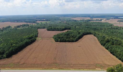 Photo #10 of Tbd Pleasant Hope, Fairmont, NC 102.8 acres