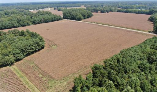 Photo #18 of Tbd Pleasant Hope, Fairmont, NC 102.8 acres