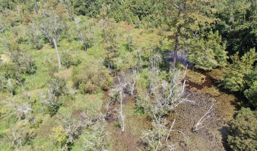 Photo #12 of Tbd Pleasant Hope, Fairmont, NC 102.8 acres