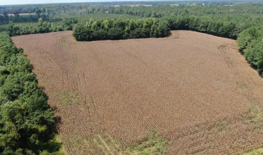 Photo #19 of Tbd Pleasant Hope, Fairmont, NC 102.8 acres