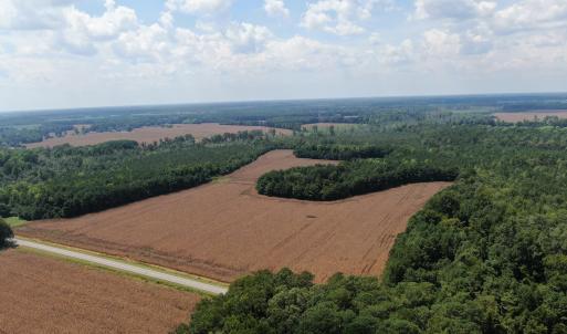 Photo #7 of Tbd Pleasant Hope, Fairmont, NC 102.8 acres