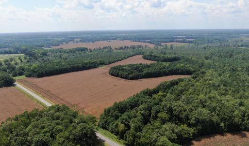 Photo #8 of Tbd Pleasant Hope, Fairmont, NC 102.8 acres