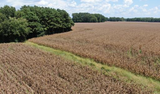 Photo #21 of Tbd Pleasant Hope, Fairmont, NC 102.8 acres