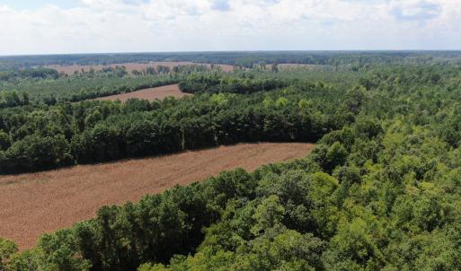 Photo #14 of Tbd Pleasant Hope, Fairmont, NC 102.8 acres