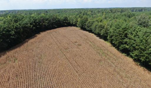 Photo #15 of Tbd Pleasant Hope, Fairmont, NC 102.8 acres