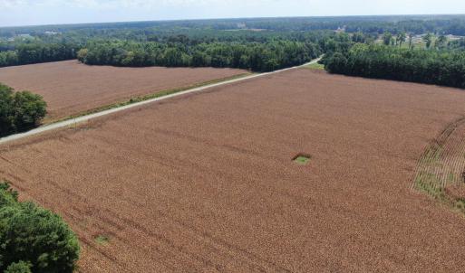 Photo #13 of Tbd Pleasant Hope, Fairmont, NC 102.8 acres