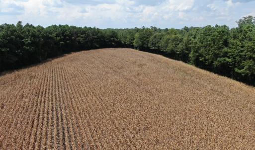 Photo #17 of Tbd Pleasant Hope, Fairmont, NC 102.8 acres