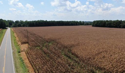 Photo #6 of Tbd Pleasant Hope, Fairmont, NC 102.8 acres