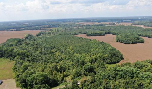 Photo #9 of Tbd Pleasant Hope, Fairmont, NC 102.8 acres