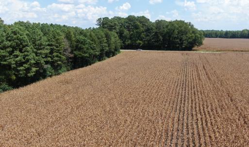 Photo #16 of Tbd Pleasant Hope, Fairmont, NC 102.8 acres