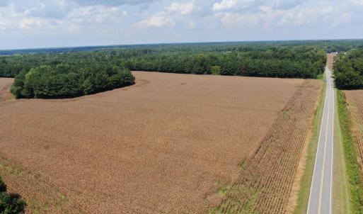 Photo #11 of Tbd Pleasant Hope, Fairmont, NC 102.8 acres