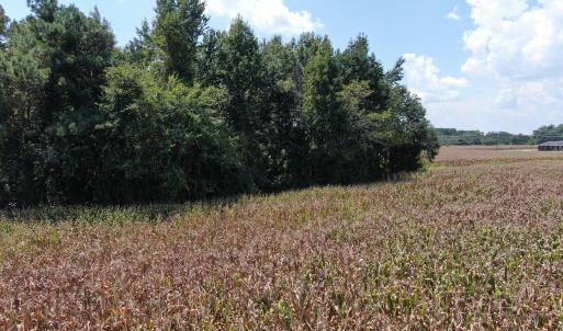 Photo #24 of Tbd Nc 41, Fairmont, NC 55.5 acres