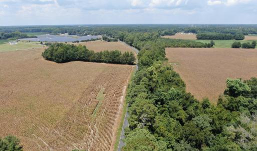 Photo #22 of Tbd Nc 41, Fairmont, NC 55.5 acres