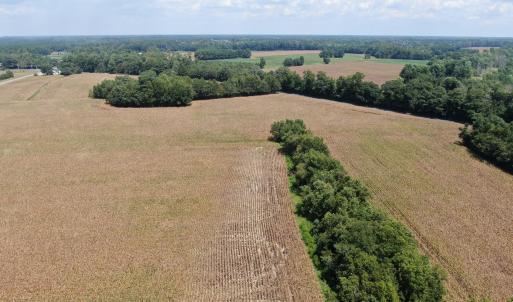 Photo #17 of Tbd Nc 41, Fairmont, NC 55.5 acres