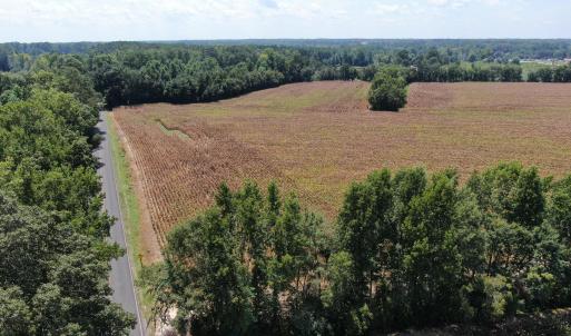Photo #5 of Tbd Nc 41, Fairmont, NC 55.5 acres