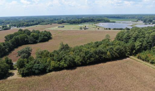 Photo #23 of Tbd Nc 41, Fairmont, NC 55.5 acres