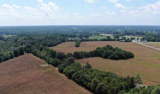 Photo #8 of Tbd Nc 41, Fairmont, NC 55.5 acres