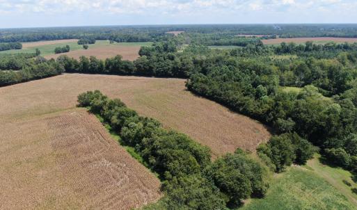 Photo #13 of Tbd Nc 41, Fairmont, NC 55.5 acres