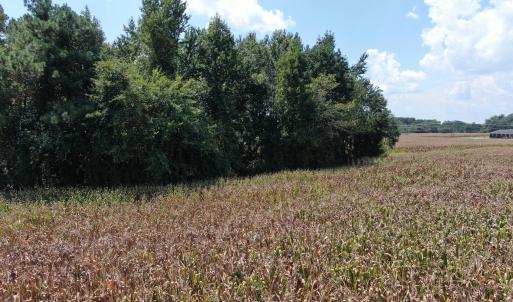 Photo #25 of Tbd Nc 41, Fairmont, NC 55.5 acres