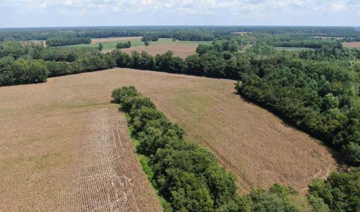 Photo #18 of Tbd Nc 41, Fairmont, NC 55.5 acres