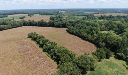 Photo #14 of Tbd Nc 41, Fairmont, NC 55.5 acres